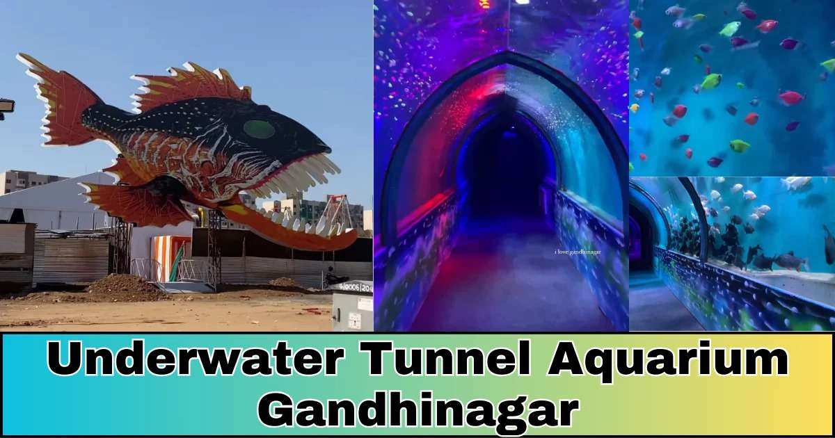 Under Water Tunnel Aquarium Gandhinagar
