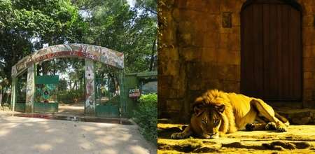 siliguri-zoo-under-fire-for-naming-lioness-sita-and-lion-akbar-1